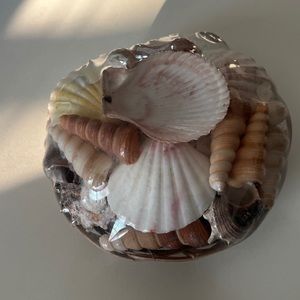 SEALED OCEAN SHELL DISPLAY IN BASKET FROM THE PHILIPPINE ISLANDS NICE DISPLAY